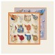 Solid Scarves Collection Item 007